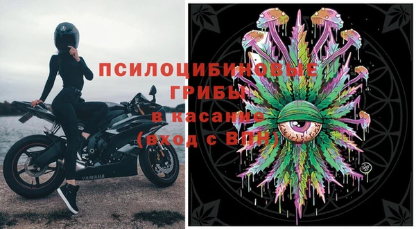 PSILOCYBIN Абдулино
