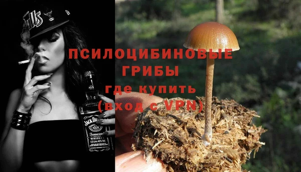 PSILOCYBIN Абдулино