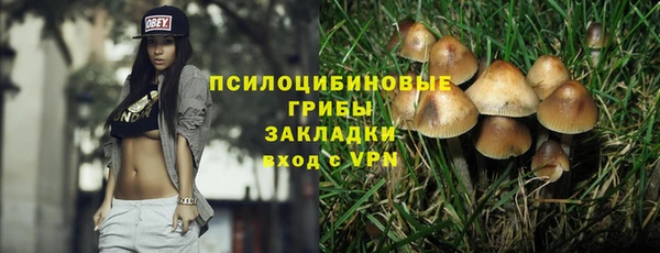 прущая мука Осинники