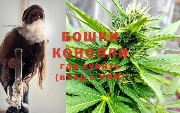 PSILOCYBIN Абдулино