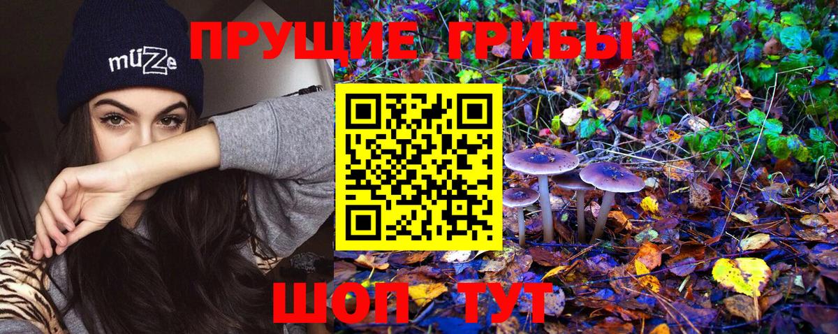 Усть-Илимск  Галлюциногенные грибы Magic Shrooms  Псилоцибиновые грибы прущие грибы  Вход с VPN 